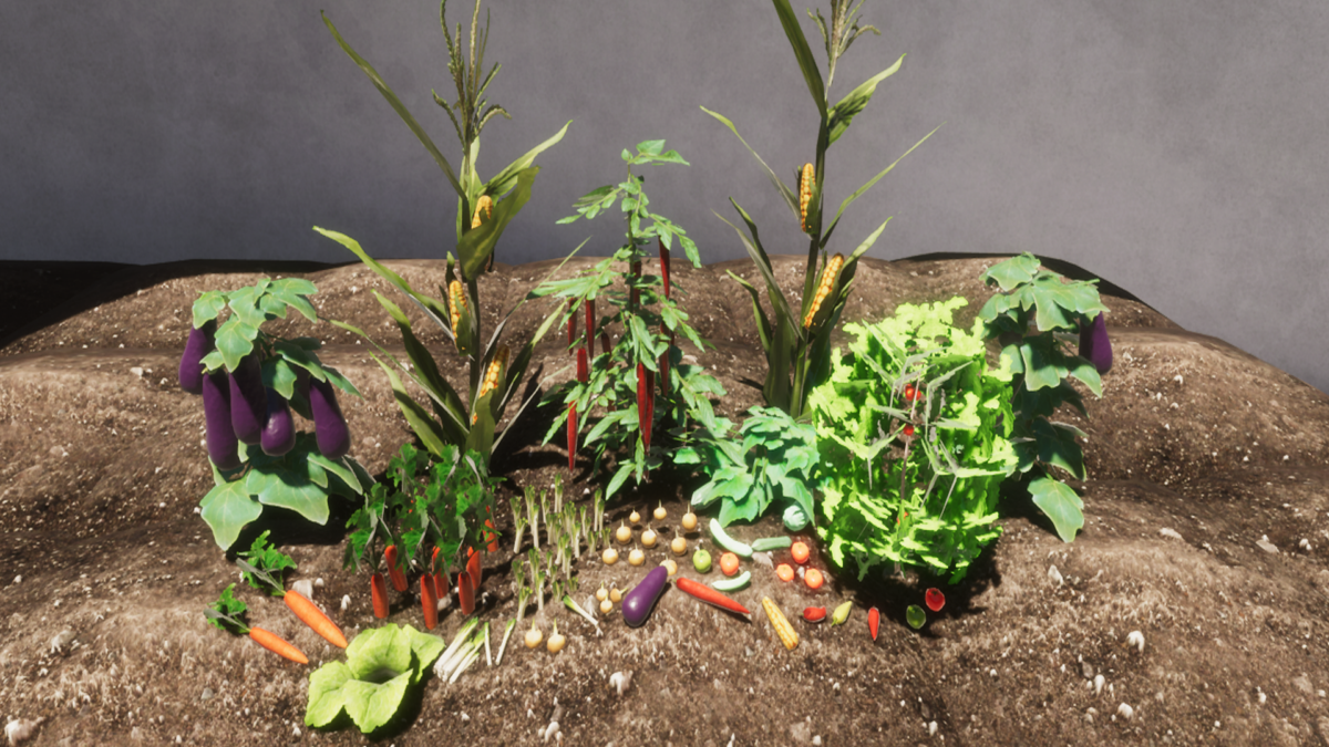 An image showing Vegetable Plants Updateasset pack, created with Unity Engine.