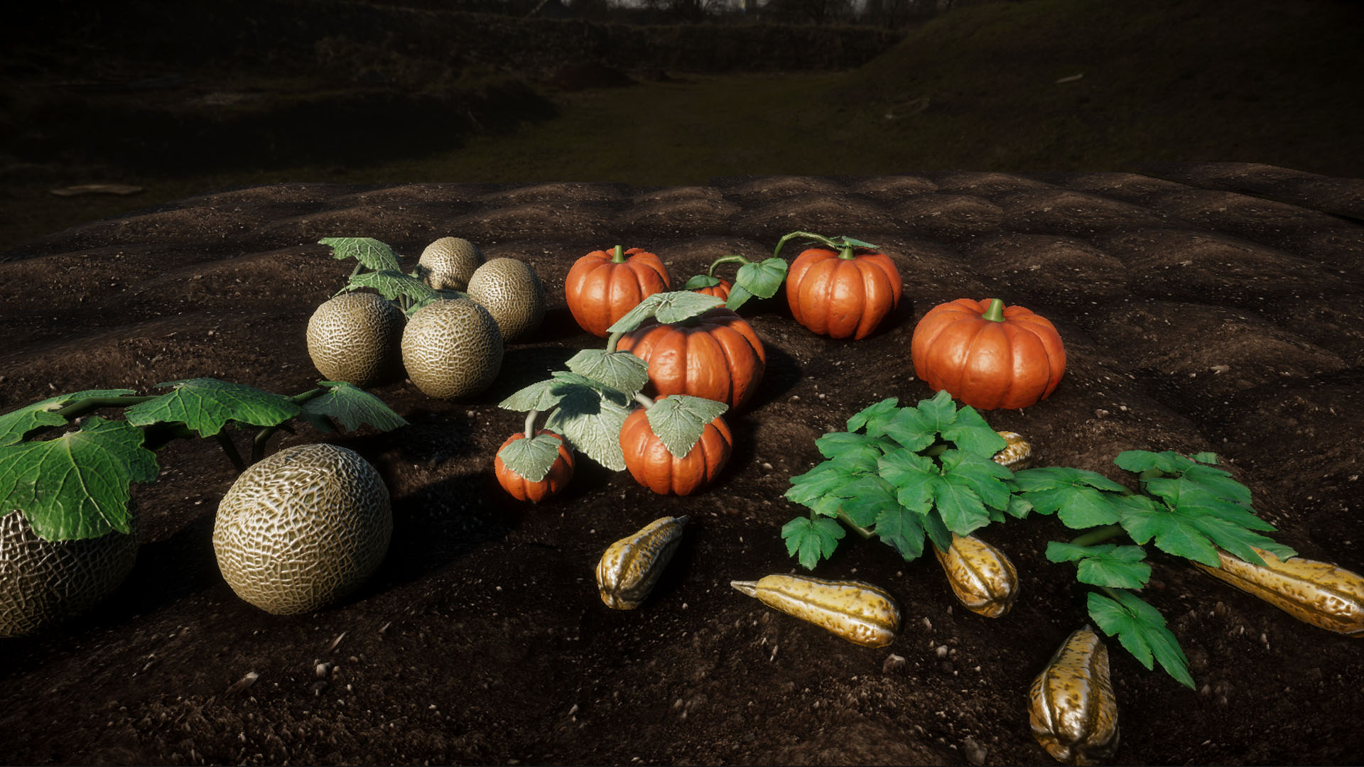 An image showing Garden Vegetables 2. Update asset pack, created with Unity Engine.