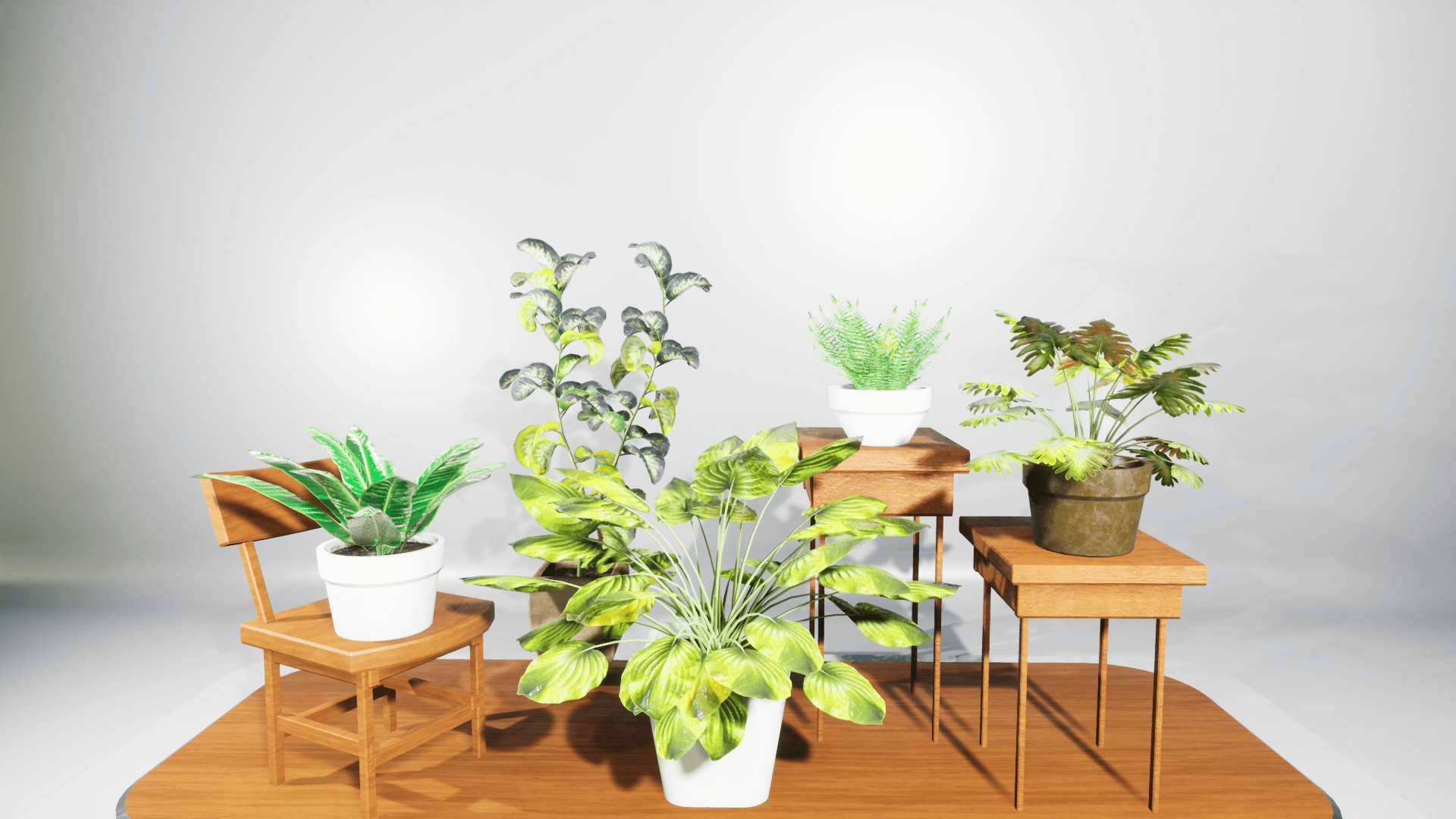 An image showing House Plants asset pack, created with Unreal Engine